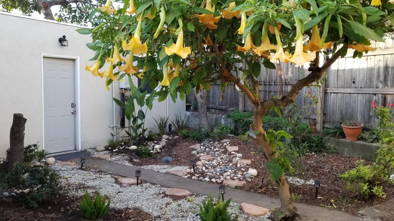 Remodeled Cottage In Berkeley/Oakland Rockridge 외부 사진
